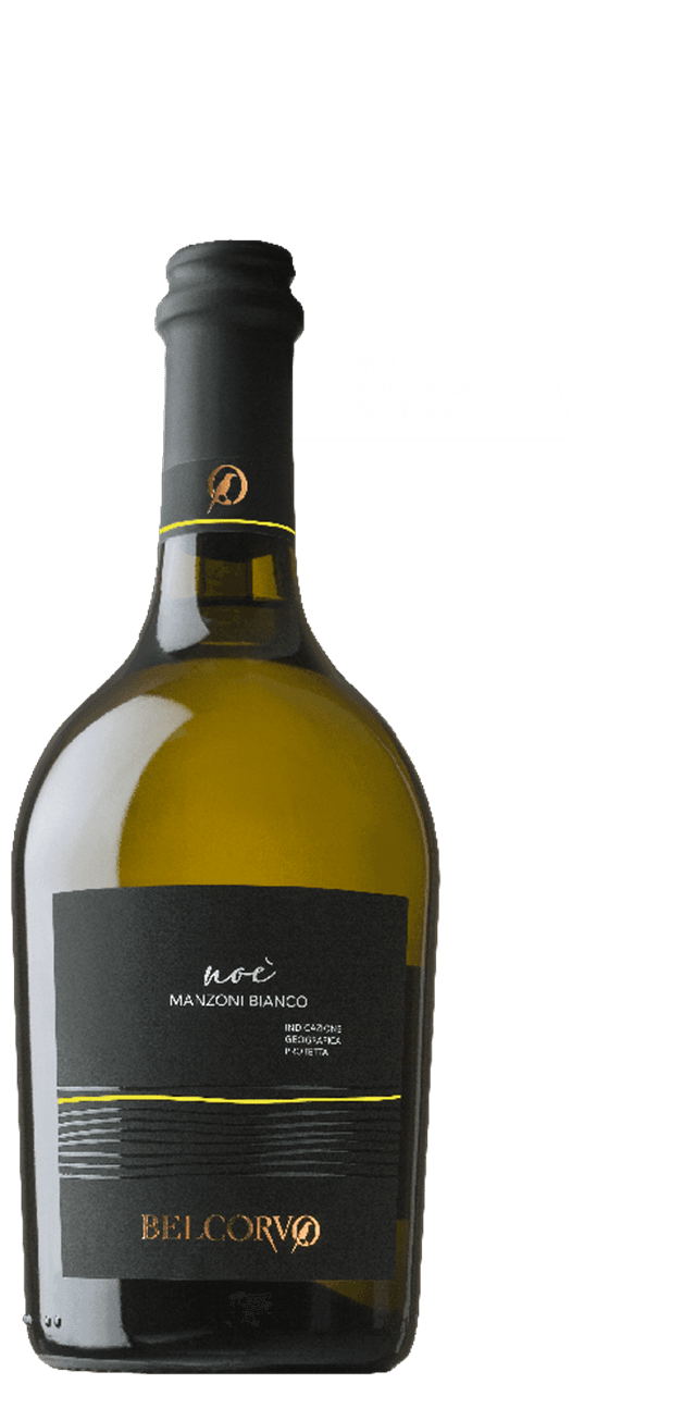 Noè Manzoni Bianco IGT